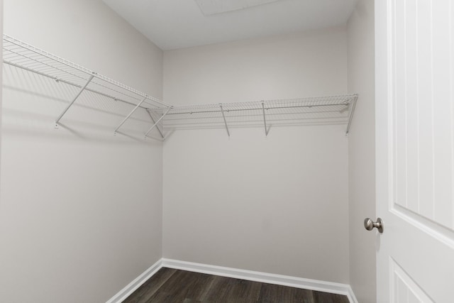 walk in closet featuring dark wood finished floors