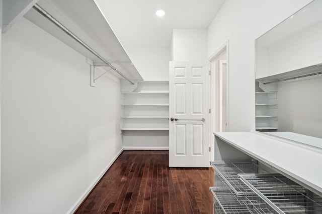 spacious closet featuring dark wood-type flooring