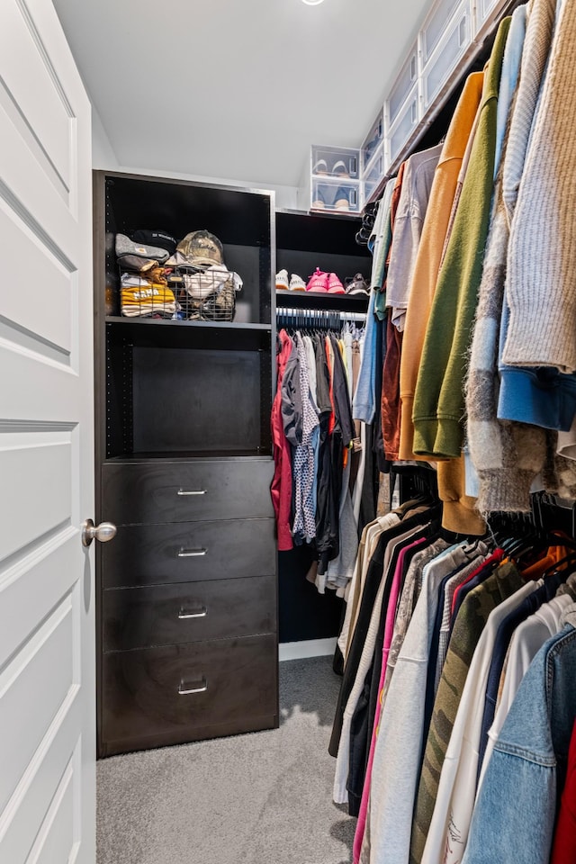 walk in closet with carpet