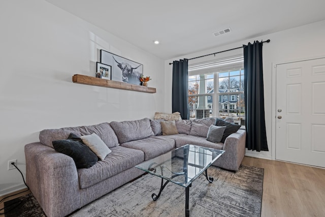 living room featuring wood-type flooring