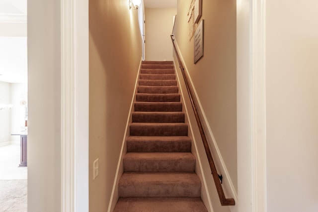 stairway with carpet flooring