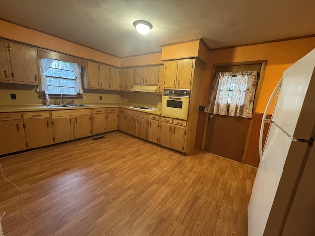 kitchen featuring white appliances, sink, and light hardwood / wood-style flooring