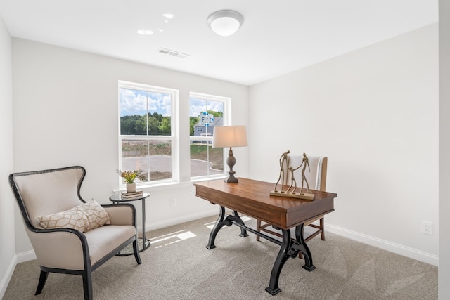 office space with light carpet