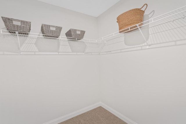 walk in closet with carpet flooring