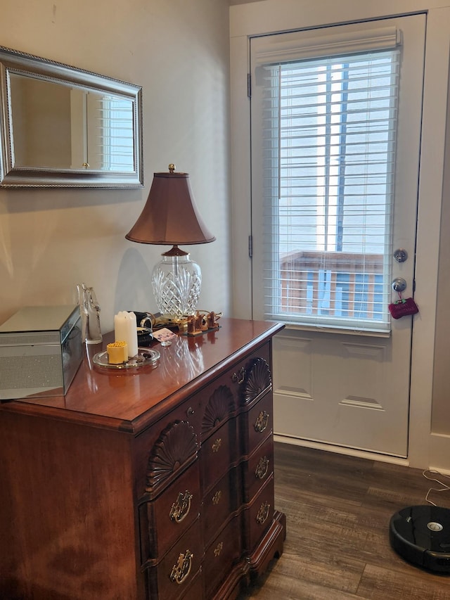 entryway featuring dark wood-type flooring