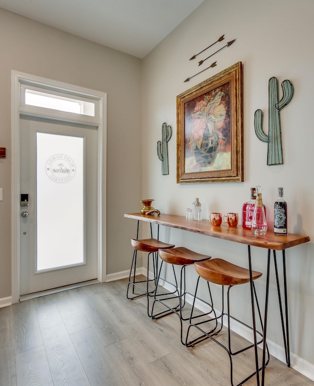 foyer entrance featuring light wood-type flooring and a wealth of natural light