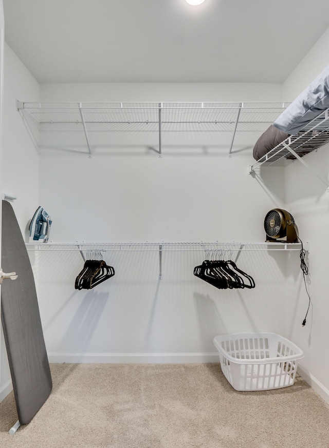 spacious closet with carpet floors