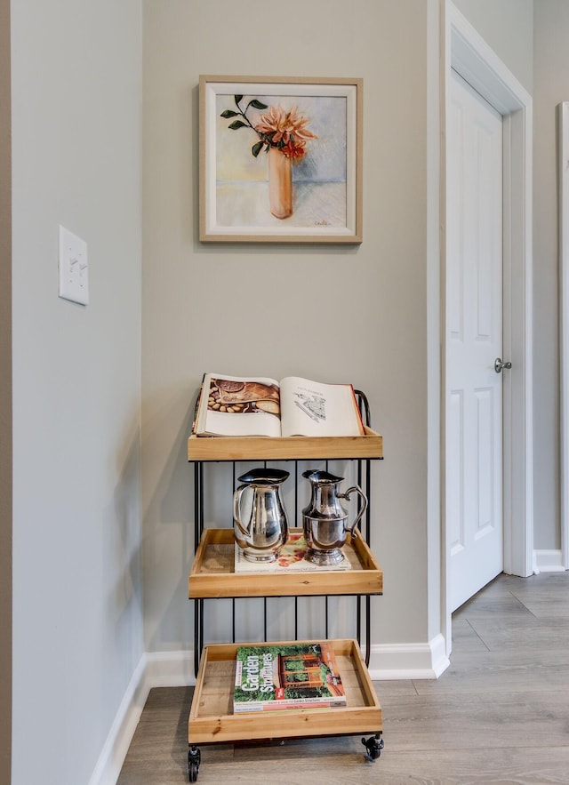 details with hardwood / wood-style flooring