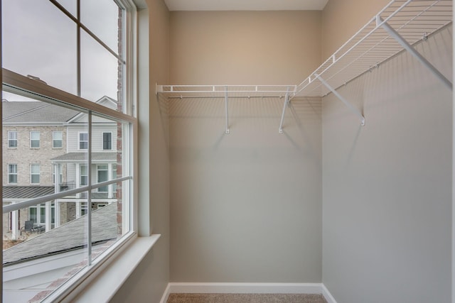 walk in closet featuring carpet flooring