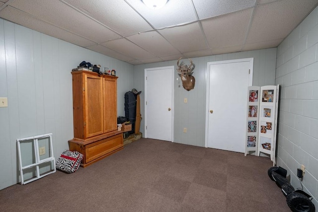 interior space featuring carpet and a drop ceiling