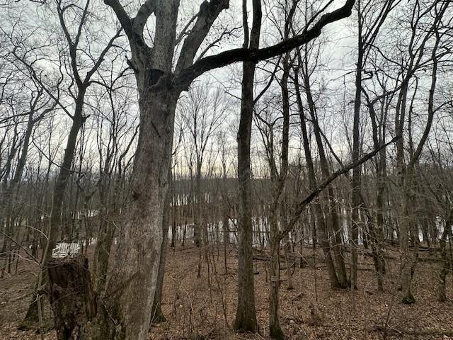 275 Patricia Cir, Indian Mound, TN 37079 - view of landscape
