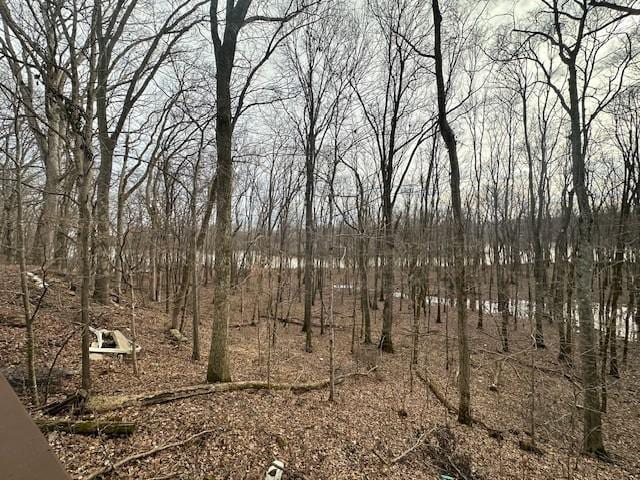 275 Patricia Cir, Indian Mound, TN 37079 - view of nature