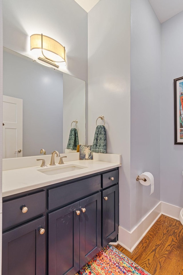 bathroom with vanity and wood-type flooring