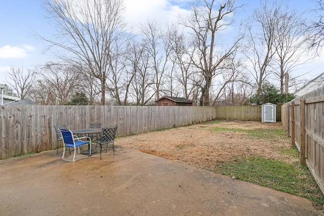 view of yard featuring a patio and a shed