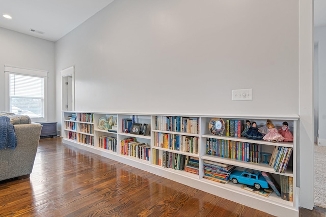 living area featuring dark wood-type flooring