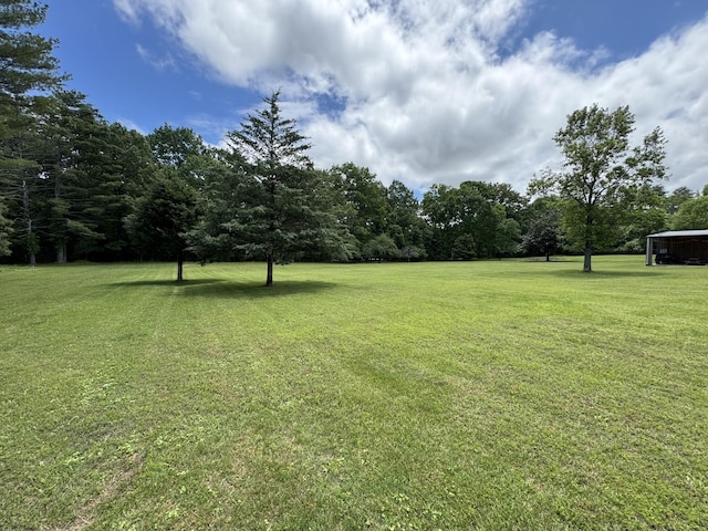 290 Parkway Rd, Tullahoma, TN 37388 - photo 68
