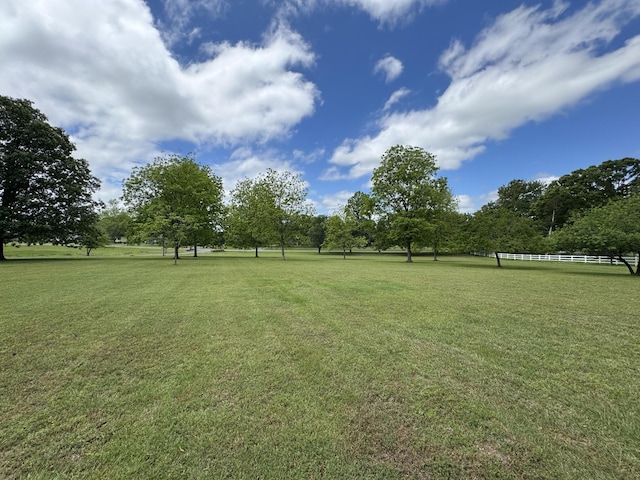 290 Parkway Rd, Tullahoma, TN 37388 - photo 69