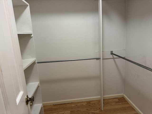 walk in closet with hardwood / wood-style flooring