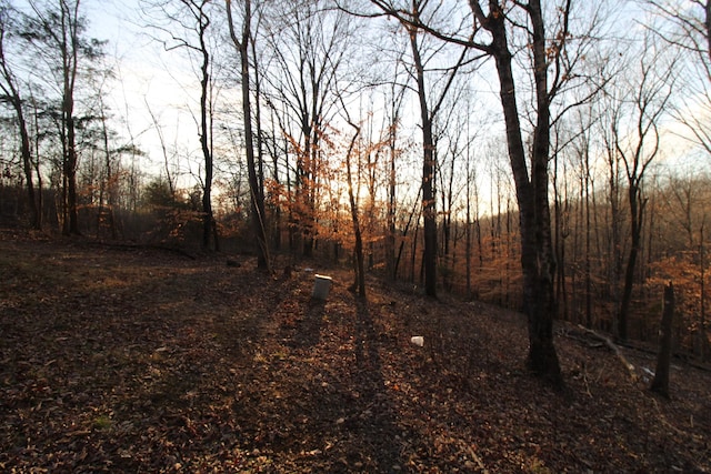 view of nature at dusk