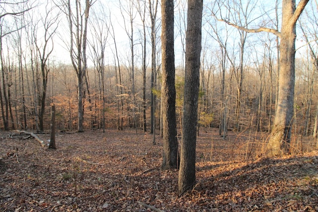 view of landscape