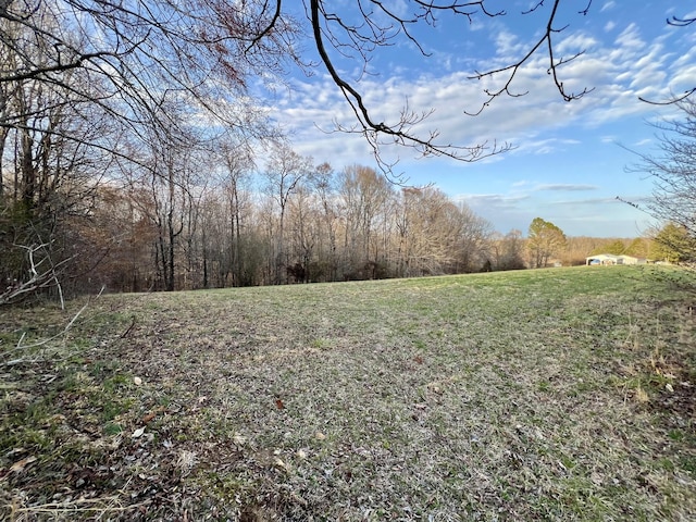 19 Gowen Rd, Leoma TN, 38468 land for sale