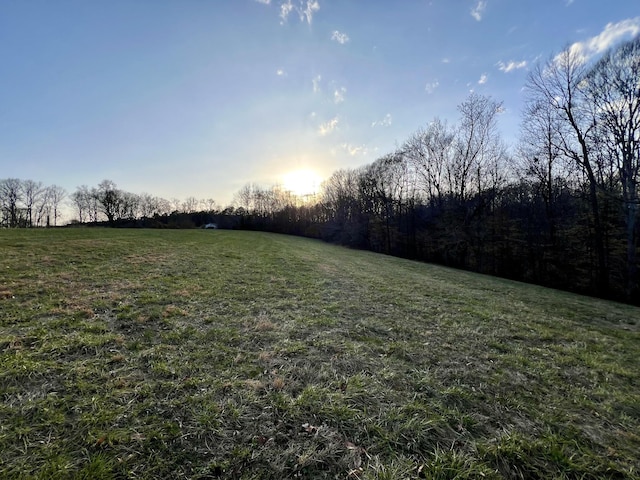 Listing photo 3 for 19 Gowen Rd, Leoma TN 38468