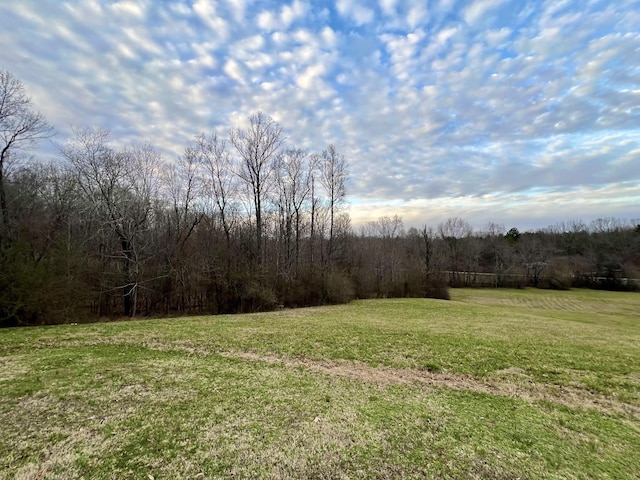 view of yard featuring a rural view