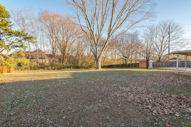 view of yard featuring a shed