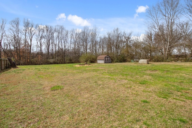 view of yard featuring a shed