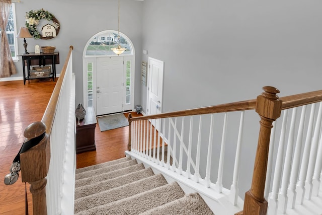 entryway featuring hardwood / wood-style flooring