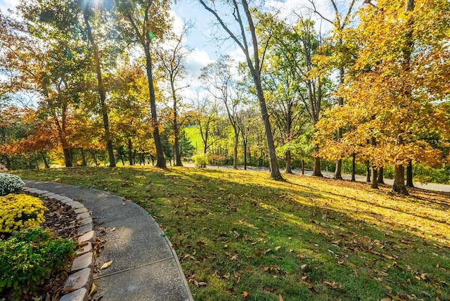 view of property's community with a lawn