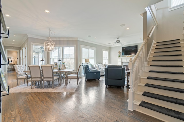 dining room featuring crown molding, dark hardwood / wood-style flooring, and ceiling fan with notable chandelier