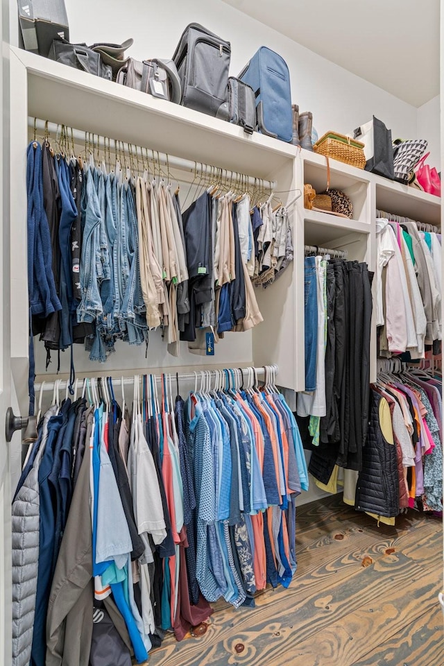 view of walk in closet