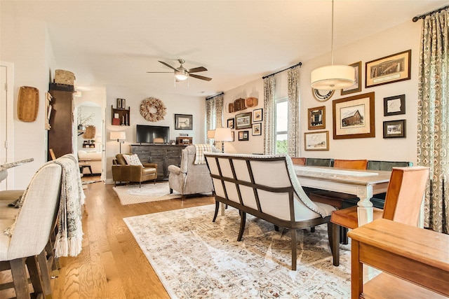 dining area with ceiling fan and light hardwood / wood-style floors