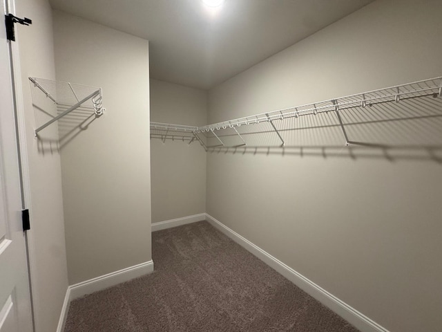 walk in closet featuring dark colored carpet