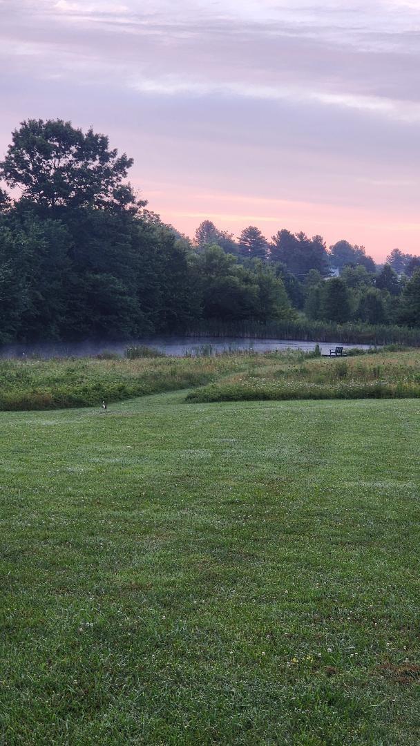 yard at dusk with a water view