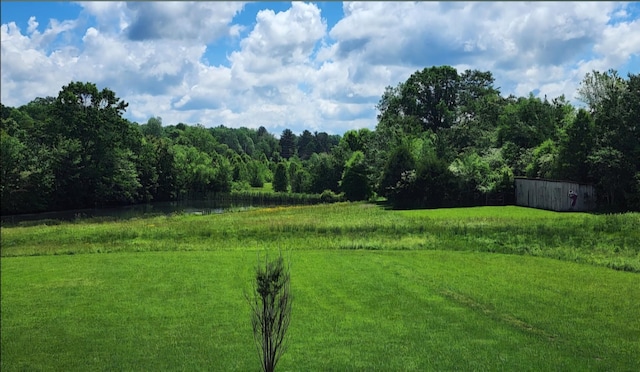 view of yard with a rural view