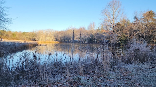 property view of water