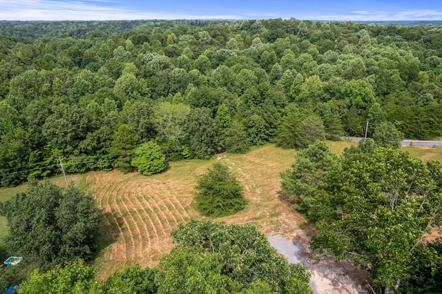 0 Buck Litton Rd, Lyles TN, 37098 land for sale