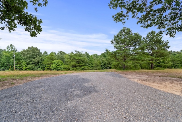 Listing photo 2 for 0 Buck Litton Rd, Lyles TN 37098