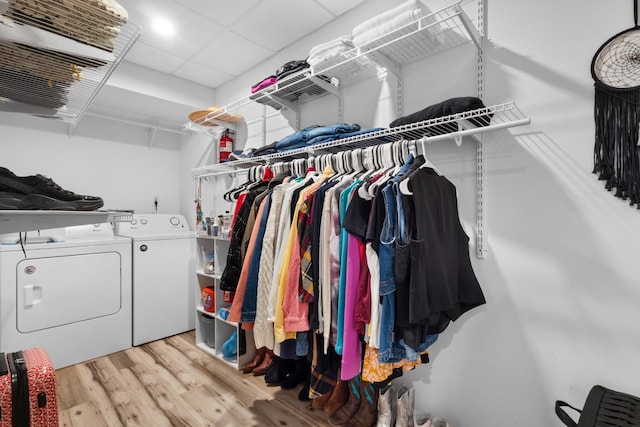 walk in closet with separate washer and dryer, a drop ceiling, and light wood-type flooring