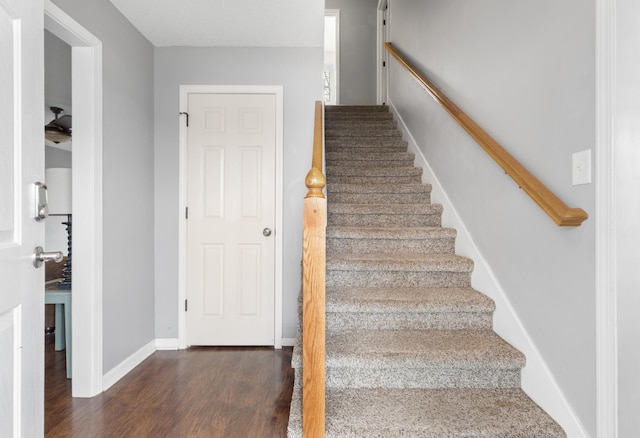 staircase with hardwood / wood-style flooring