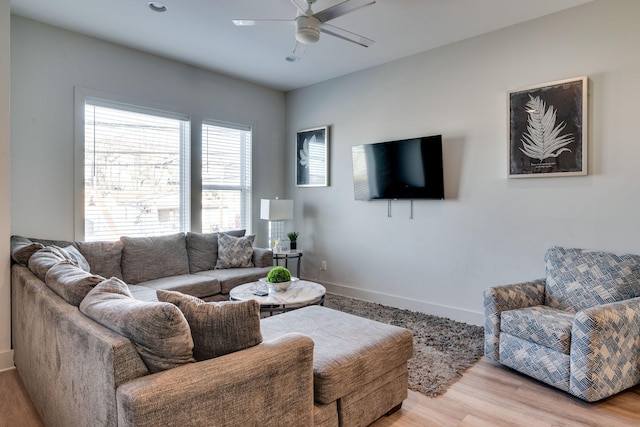 living room with ceiling fan and light hardwood / wood-style flooring