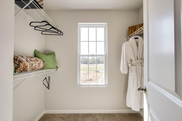 spacious closet with carpet floors