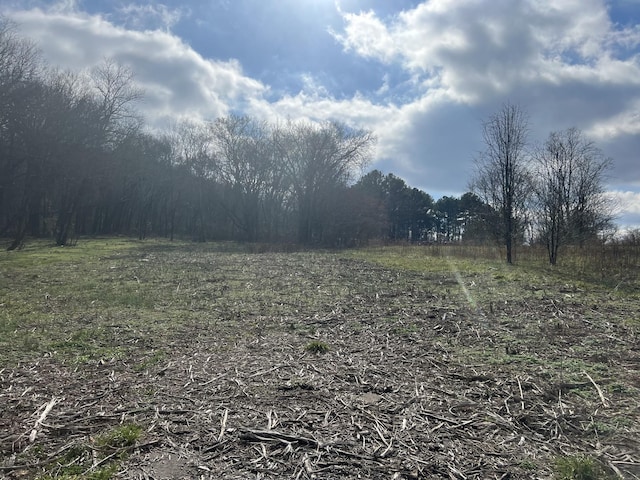 917 1st Ave, Mount Pleasant TN, 38474 land for sale