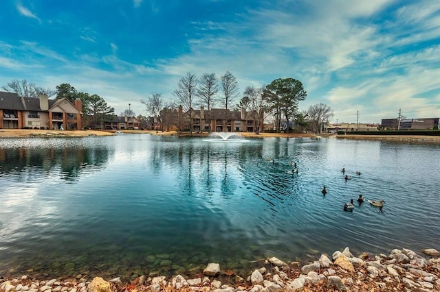 2958 Millers Pond Dr, Memphis, TN 38119 - view of water feature
