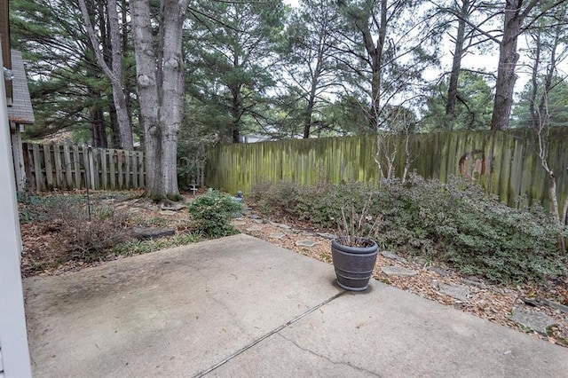 2958 Millers Pond Dr, Memphis, TN 38119 - view of patio