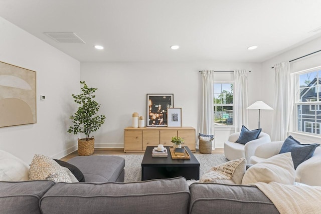 living room with wood-type flooring and plenty of natural light