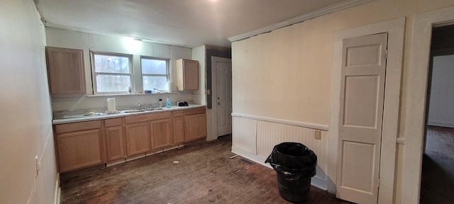 kitchen with sink and dark wood-type flooring