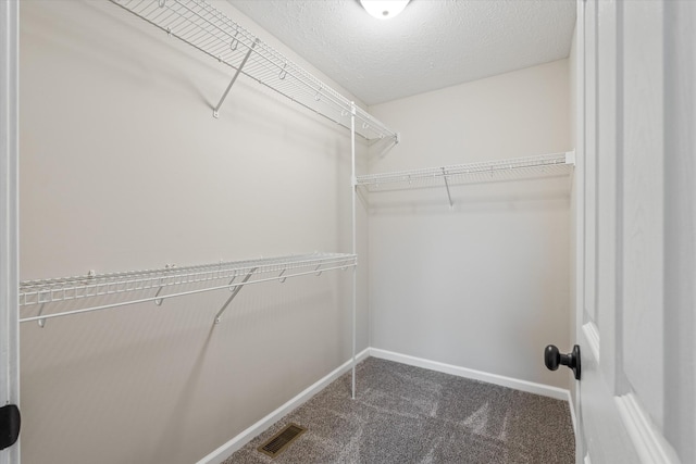 spacious closet featuring carpet flooring